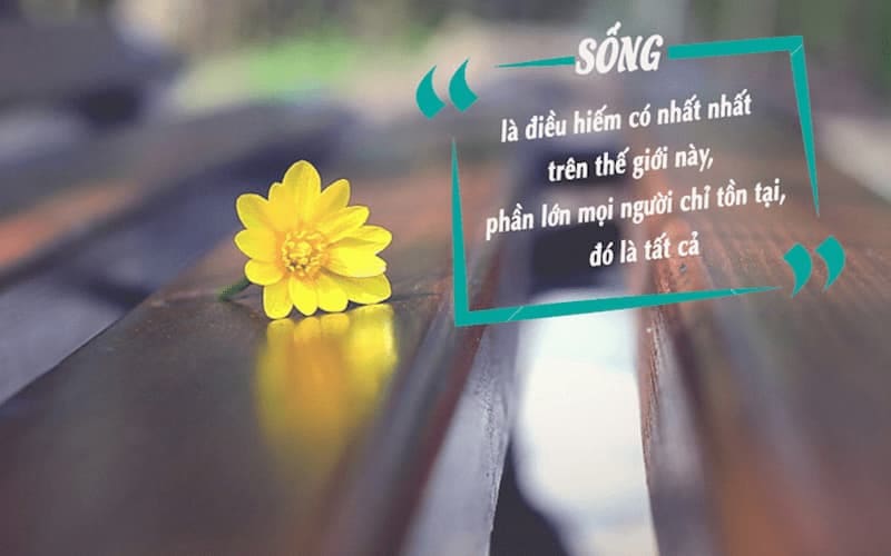 cuộc sống