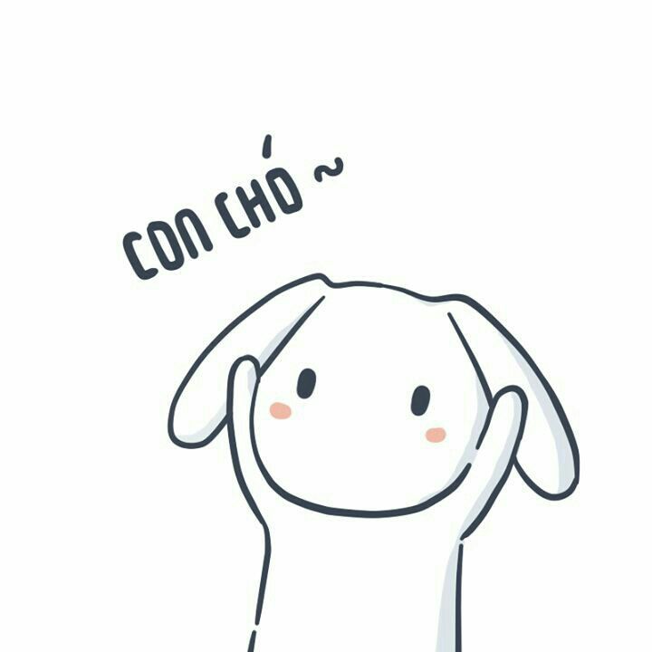 Ảnh thỏ 7 màu độc đáo
