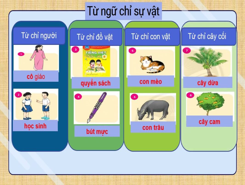Hệ thống từ ngữ chỉ sự vật. (Ảnh: youtube.com)