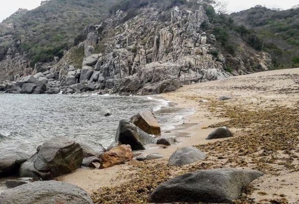 Bãi Hỏm (Bãi Rùa)