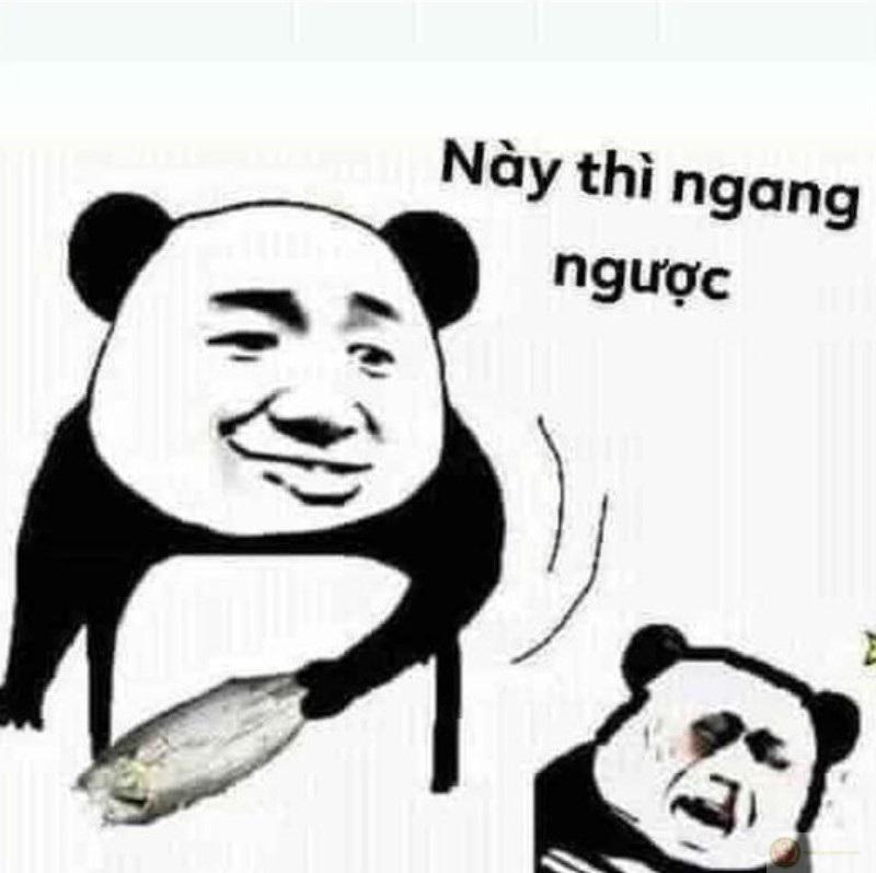 Tức đến mức nín thở, ai nói gì cũng lờ