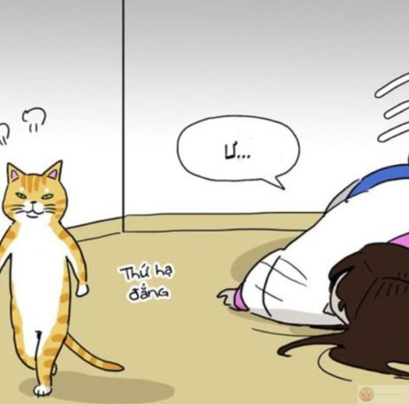 Meme giận dữ