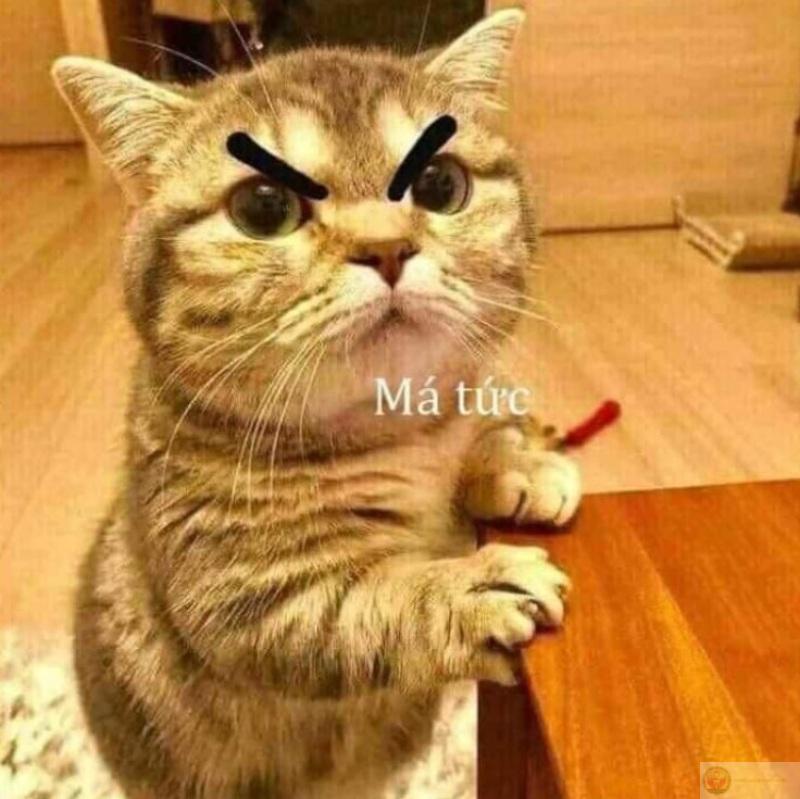 Lặng im không phải hiền, mà đang kìm chế