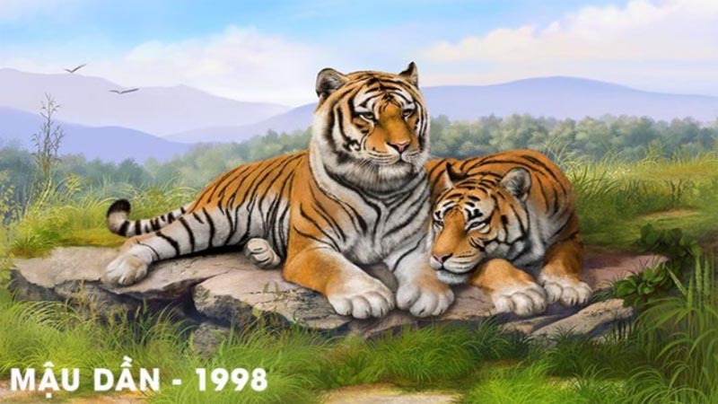Mậu Dần 1998 năm nay 2025 bao nhiêu tuổi? Học lớp 1, 6, 9, 12 năm nào?
