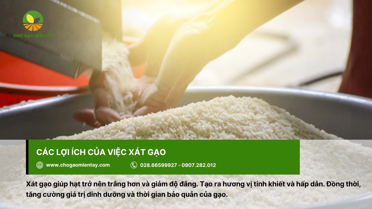 Xát gạo là quá trình thu được hạt gạo trắng sáng và tinh khiết