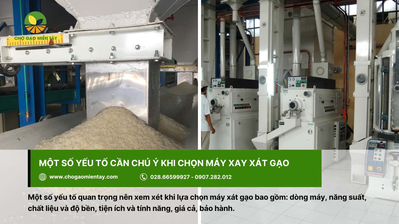 Đóng gói gạo giữ cho hạt gạo luôn tươi mới