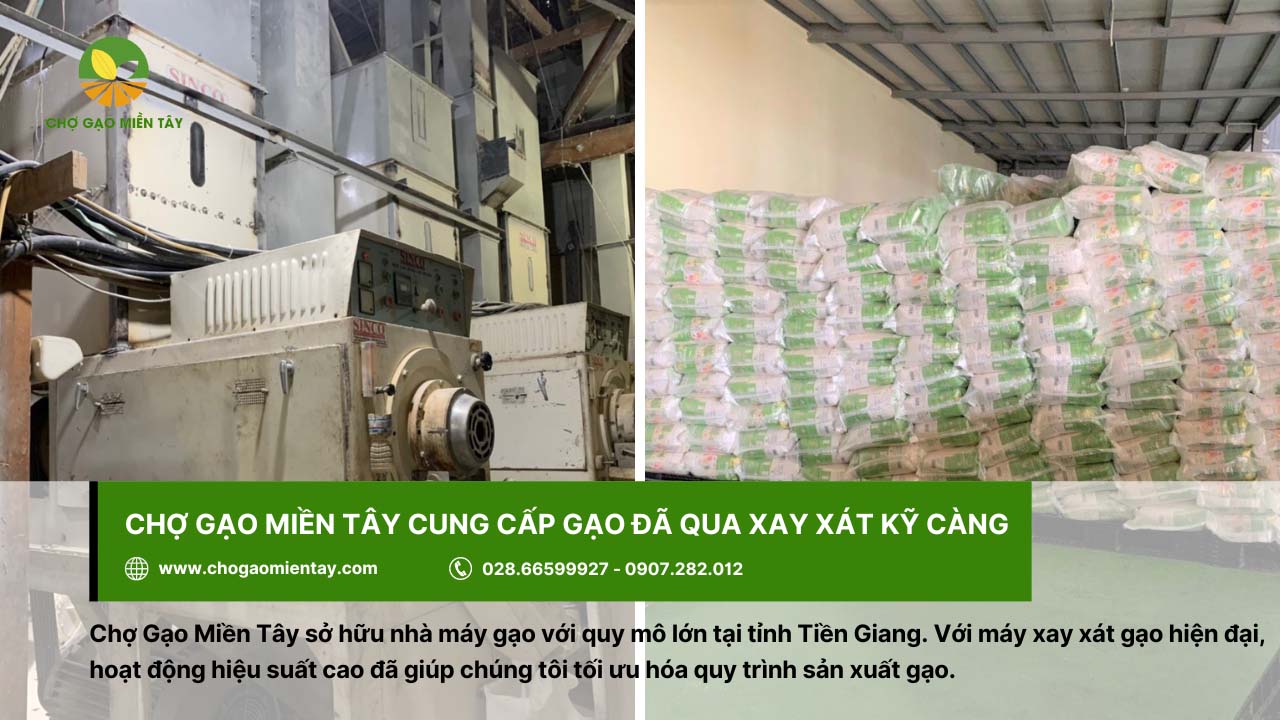 Chọn máy xát gạo cần lưu ý đến dòng máy, năng suất, độ bền,...