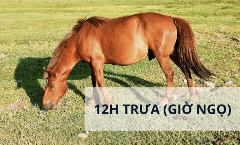 12h trưa là giờ gì? Nên và không nên làm gì lúc 12 giờ trưa?