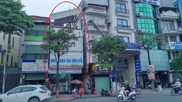 hang loat ngoi nha xay vuot tang meo mo ky di tren pho tran khat chan