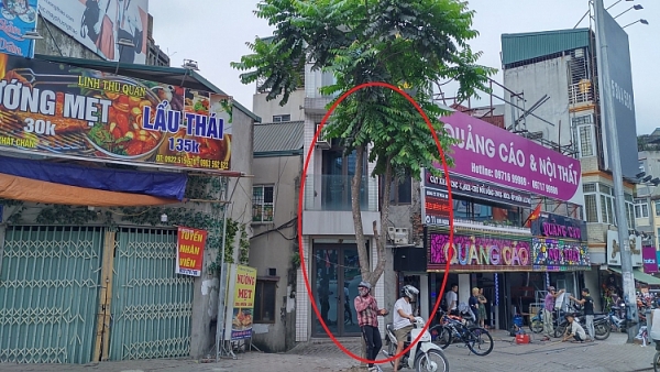 hang loat ngoi nha xay vuot tang meo mo ky di tren pho tran khat chan