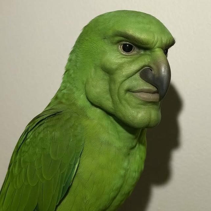 avatar meme tạo hình hài hước