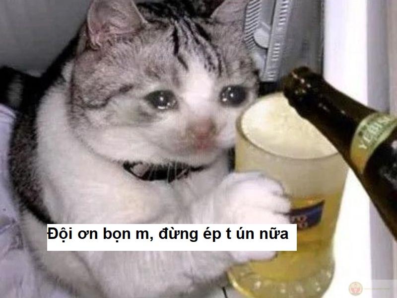Thật ra cảm ơn cũng là một dạng yêu thương