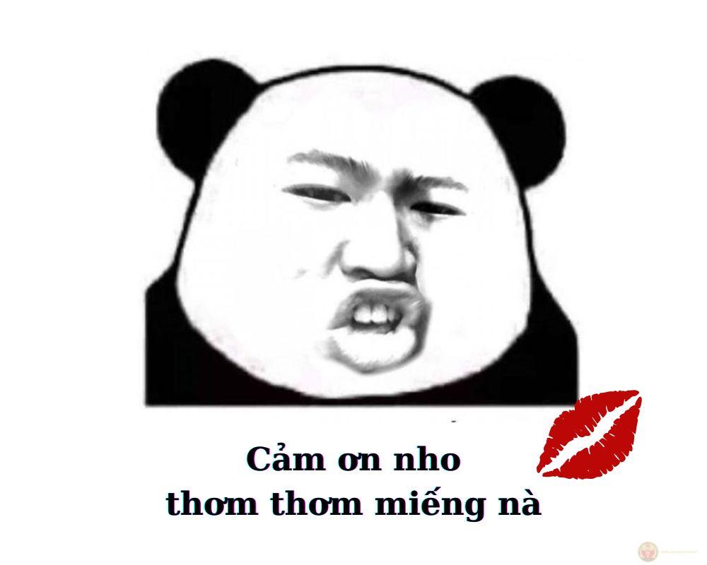 Cảm ơn vì đã lắng nghe dù chẳng nói gì