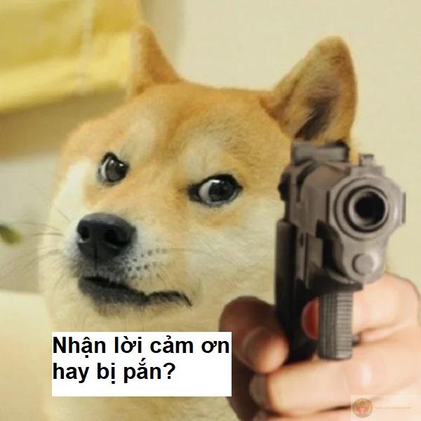 Cảm ơn vì đã xuất hiện một cách rất đẹp