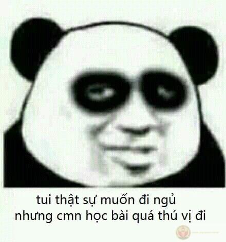 Một chiếc meme mắt thâm hài hước khiến câu chuyện trò thêm nhiều tiếng cười