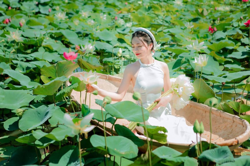 hình chụp hoa sen vintage đẹp