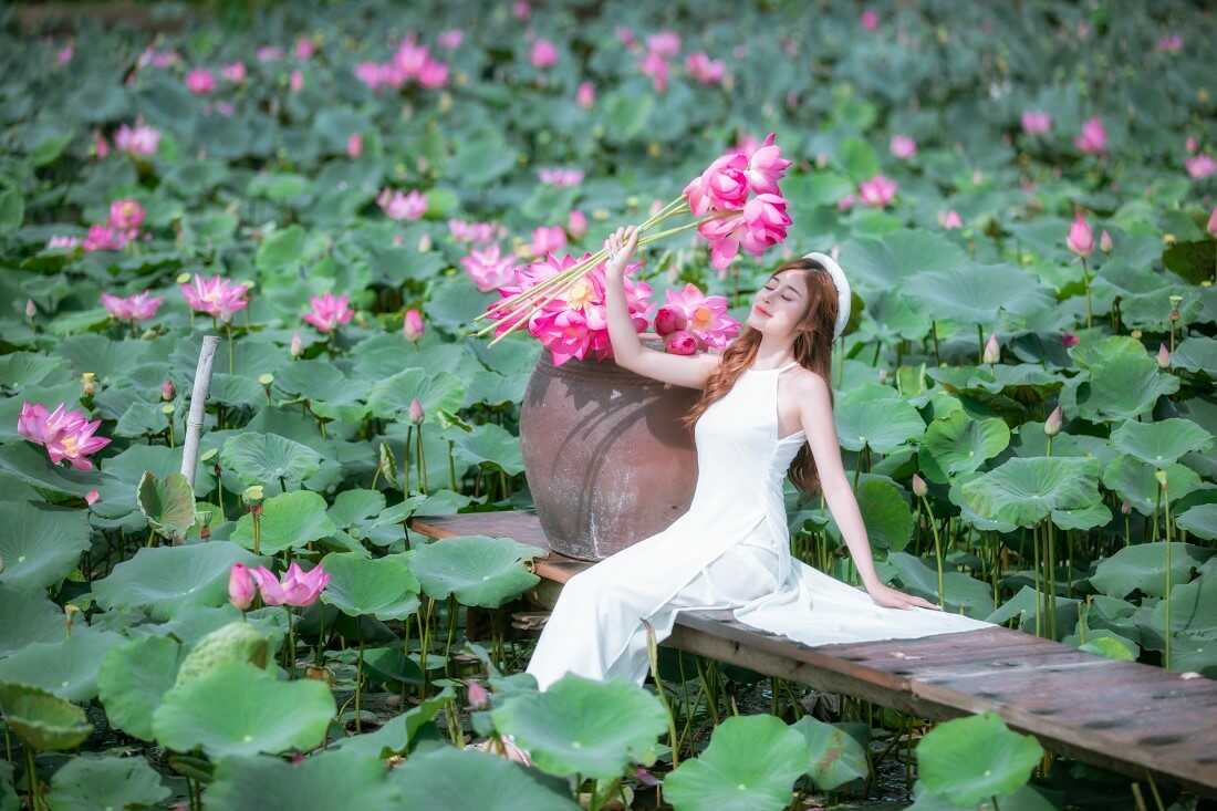 hình chụp hoa sen vintage ấn tượng