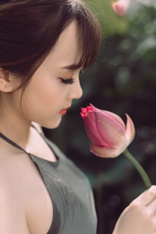 ảnh sen