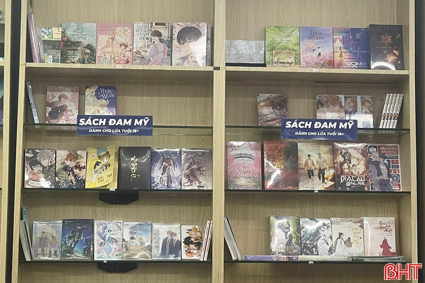 “Chễm chệ” sách đam mỹ