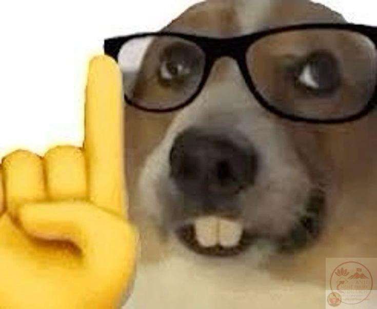 Nerd meme