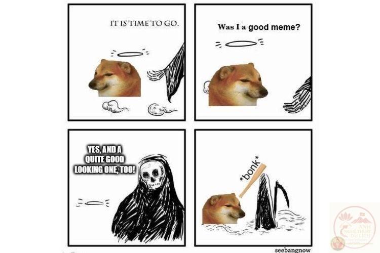 động vật meme