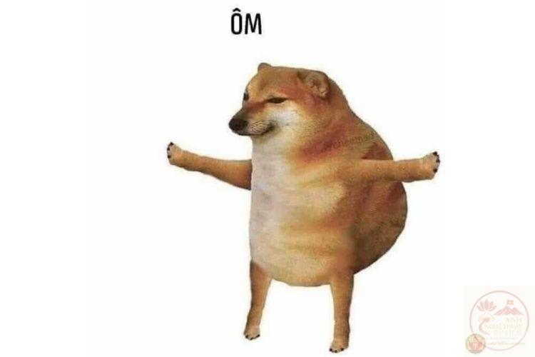 meme động vật