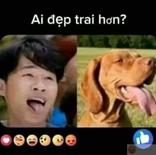 Jack 5 củ meme khiến ai cũng bật cười với lối chế giễu sáng tạo