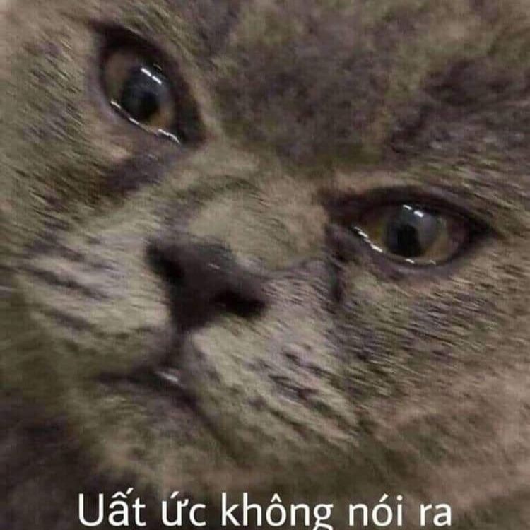 meme Uất ức không nói ra