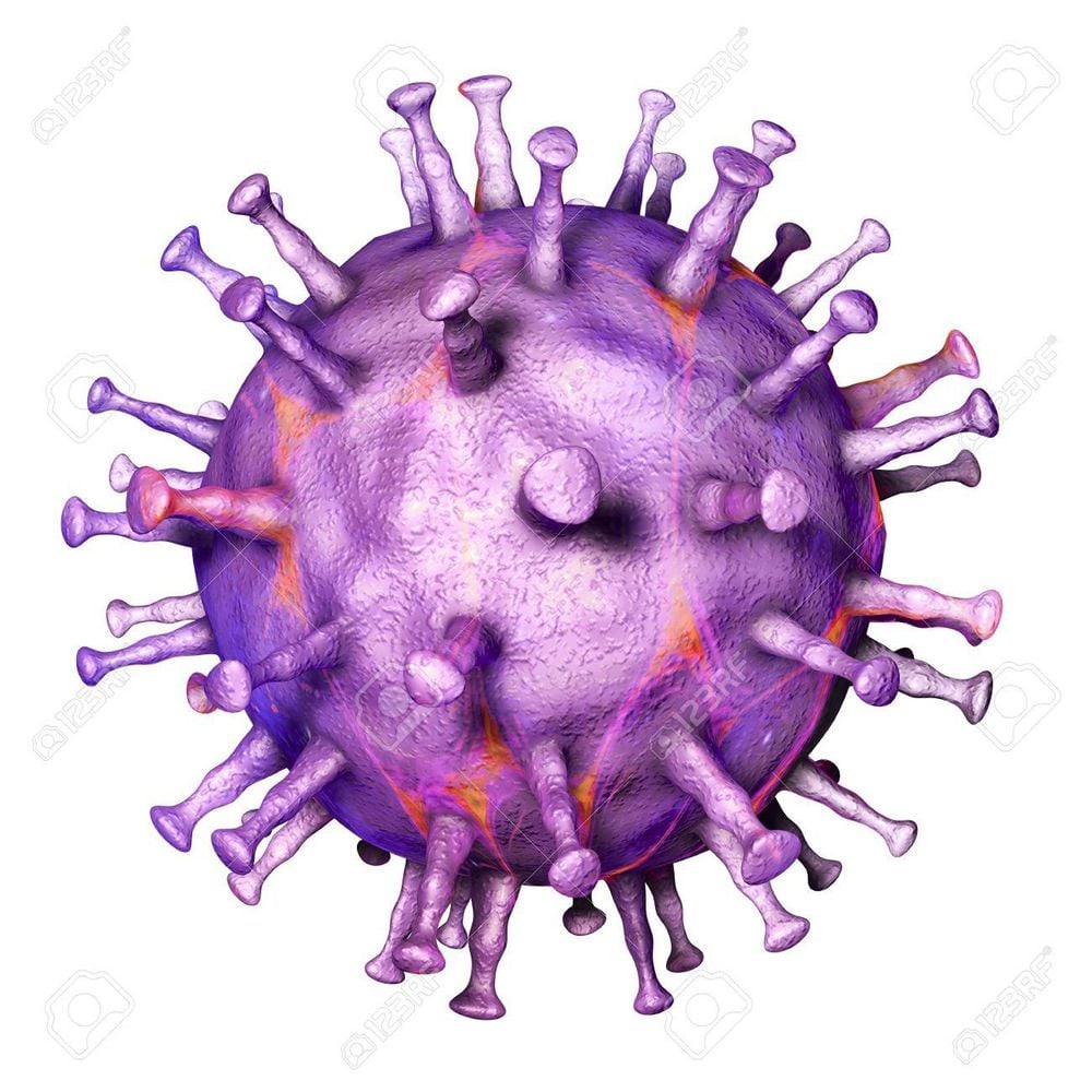 Virus tả lợn Châu Phi (ASFV) tuy không trực tiếp lây sang người, nhưng lại khiến lợn mắc phải các bệnh khác nguy hiểm cho con người.
