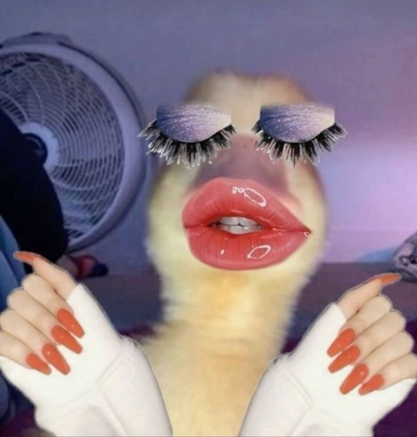 ảnh chế meme không chữ