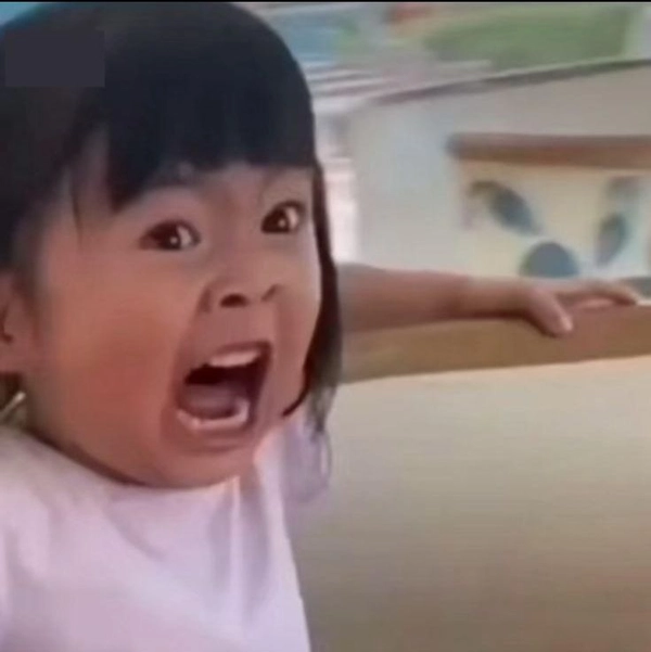 ảnh meme lầy lội ko chữ