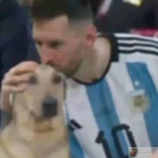Ảnh Messi chế