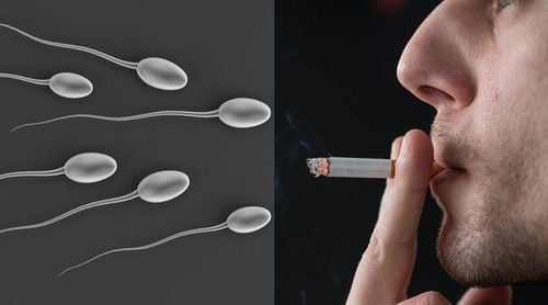 Thuốc lá gây ảnh hưởng đến mùi vị của tinh trùng