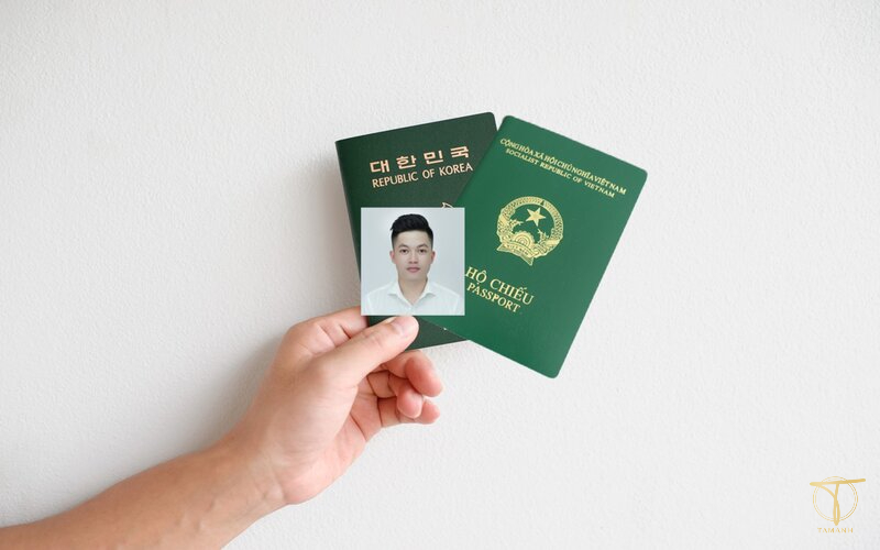 Chụp ảnh hộ chiếu mặc áo gì? Quy định chụp ảnh hộ chiếu 2026