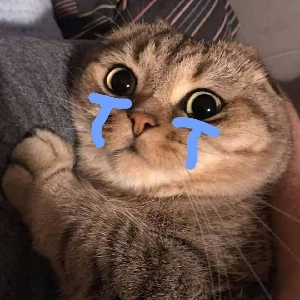 anh meme meo khoc 960px 960px avatar 2