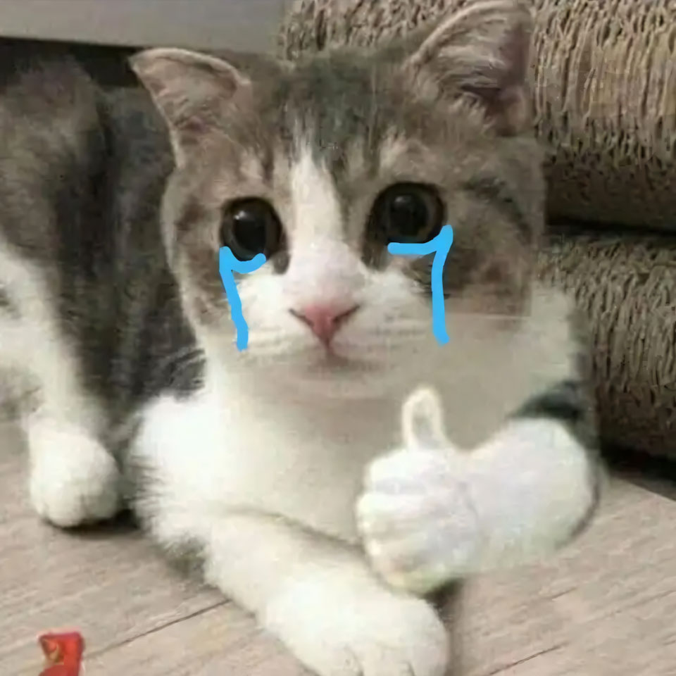 buon anh meo khoc cute 960px 960px avatar 19