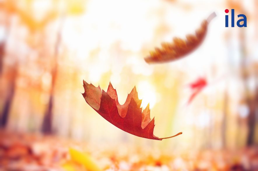 Autumn (Fall)