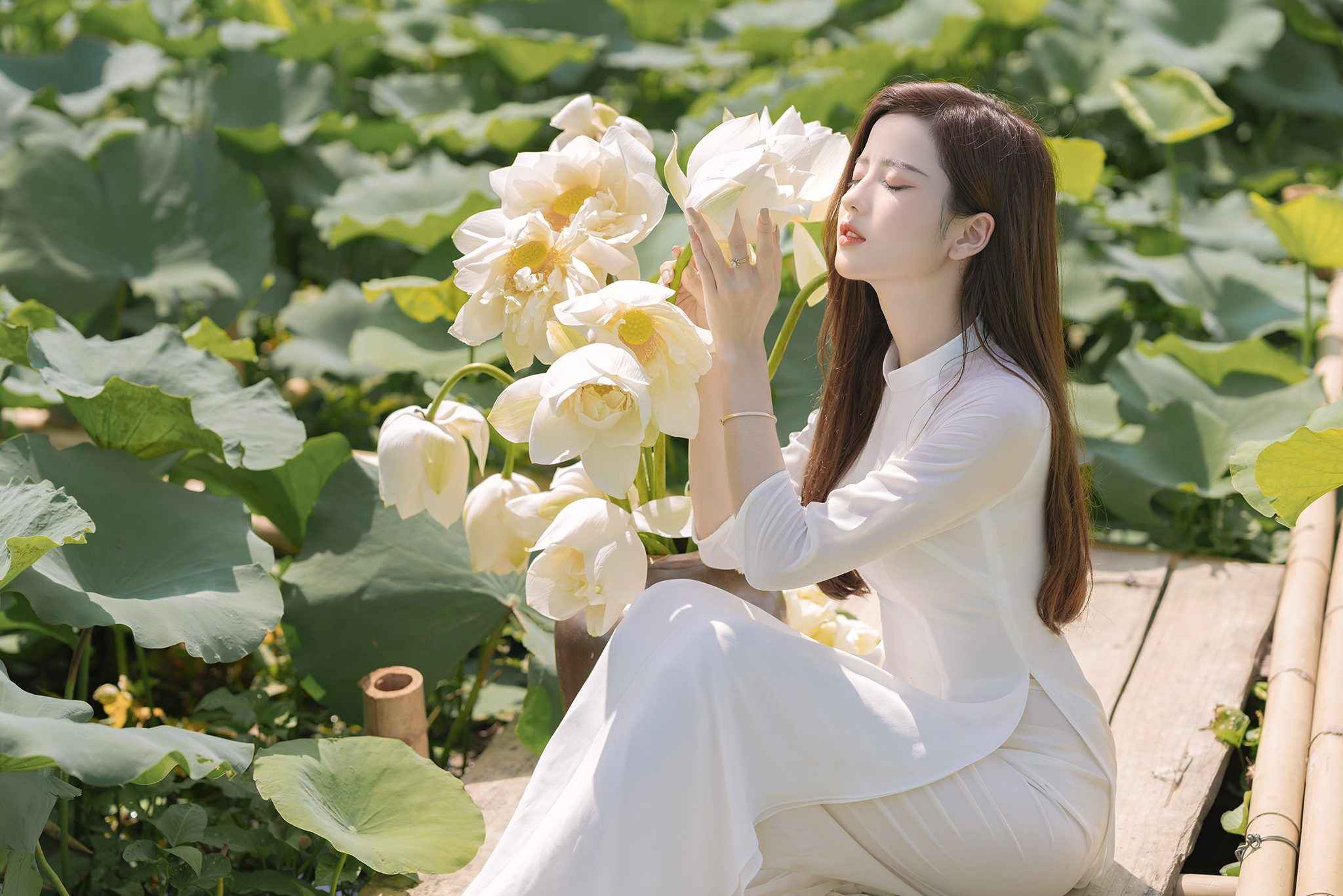Những lưu ý khi chụp ảnh với hoa sen