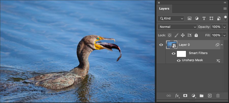 Hướng dẫn sử dụng Photoshop cho người mới bắt đầu và các bài học Photoshop cơ bản cho người mới bắt đầu