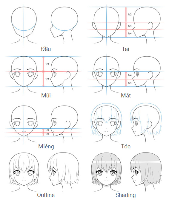 Hướng dẫn vẽ đầu và khuôn mặt nhân vật Anime nữ