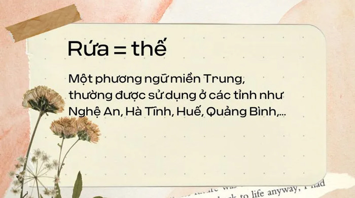 Rứa thâu 7dnight