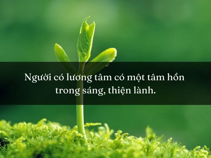 luong-tam-la-gi-01