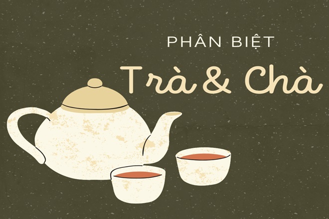 Trà Đạp Hay Chà Đạp