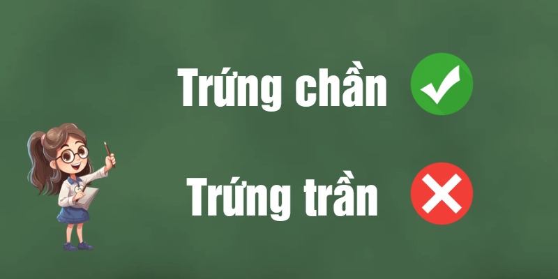 Trứng trần hay trứng chần: Đâu là từ đúng chính tả của 2 từ này trong ẩm thực?