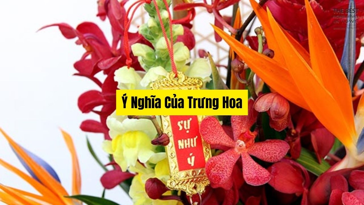 Ý Nghĩa Của _Trưng Hoa