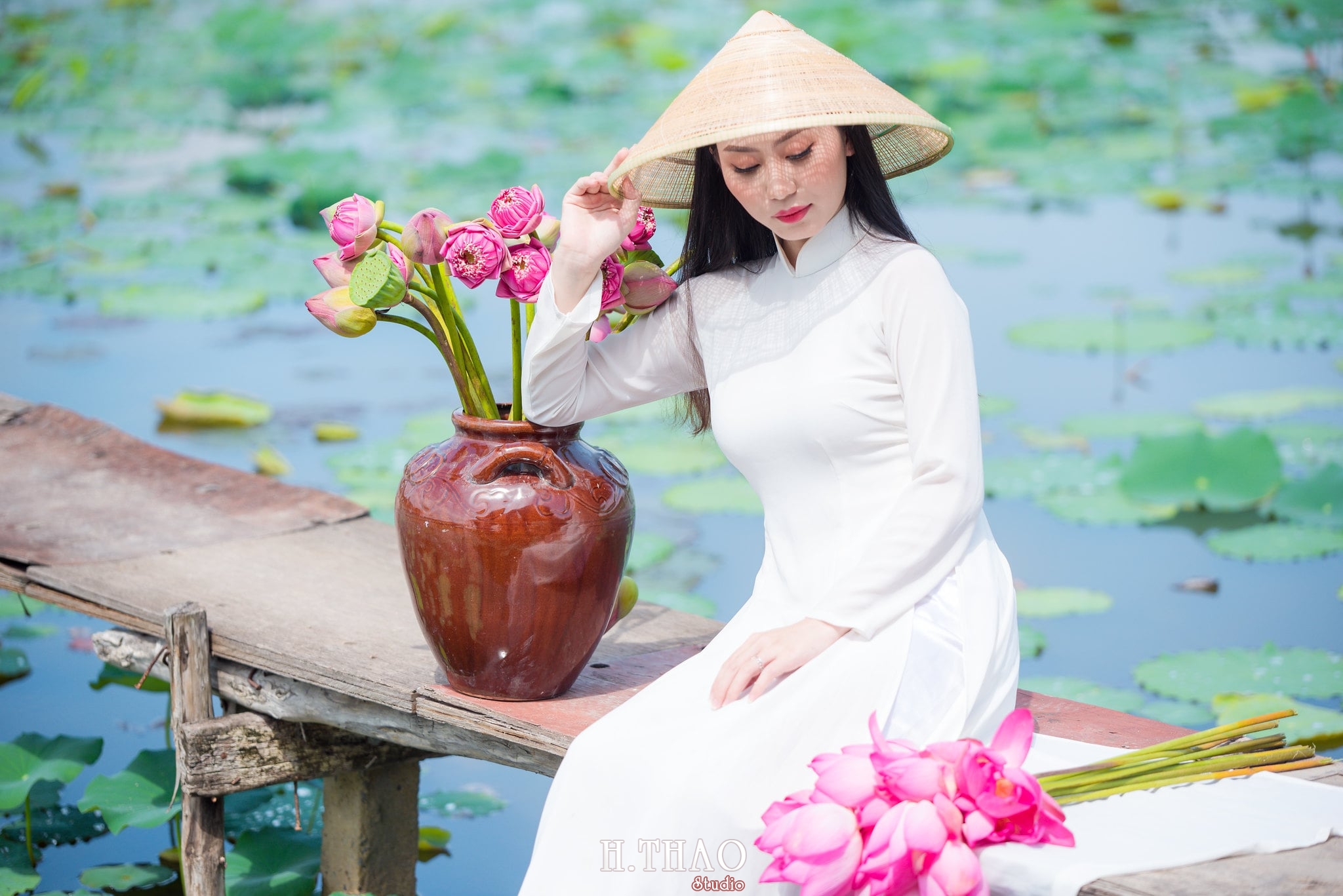 Chup hinh hoa sen 10 - Tháng 6, chụp hình với hoa sen tại Tam đa quận 9 - Tp.HCM