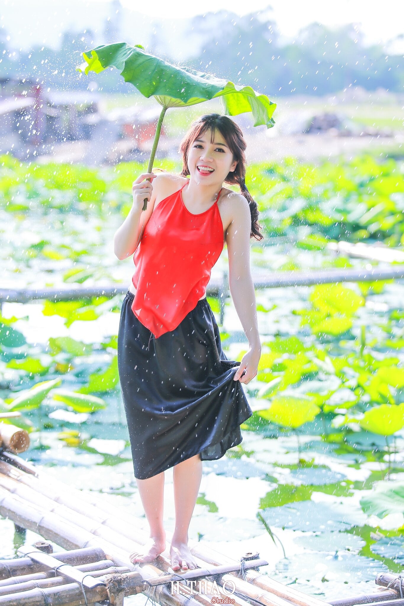 Hoa sen 7 - Tháng 6, chụp hình với hoa sen tại Tam đa quận 9 - Tp.HCM