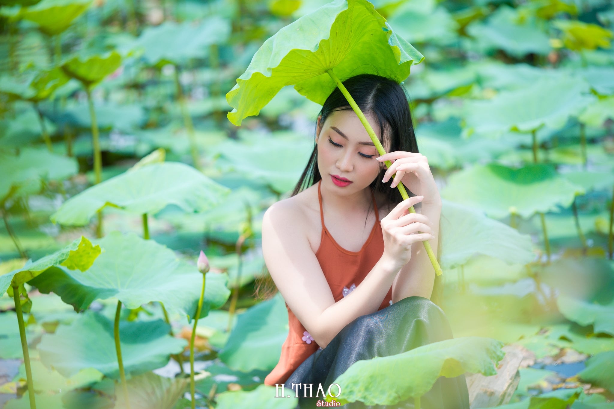 ao yem hoa sen 14 - Tháng 6, chụp hình với hoa sen tại Tam đa quận 9 - Tp.HCM