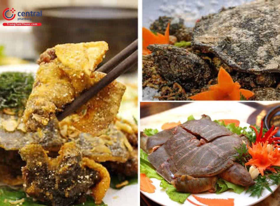 Món ăn từ ba ba: thực phẩm giàu đạm, chế biến đa dạng