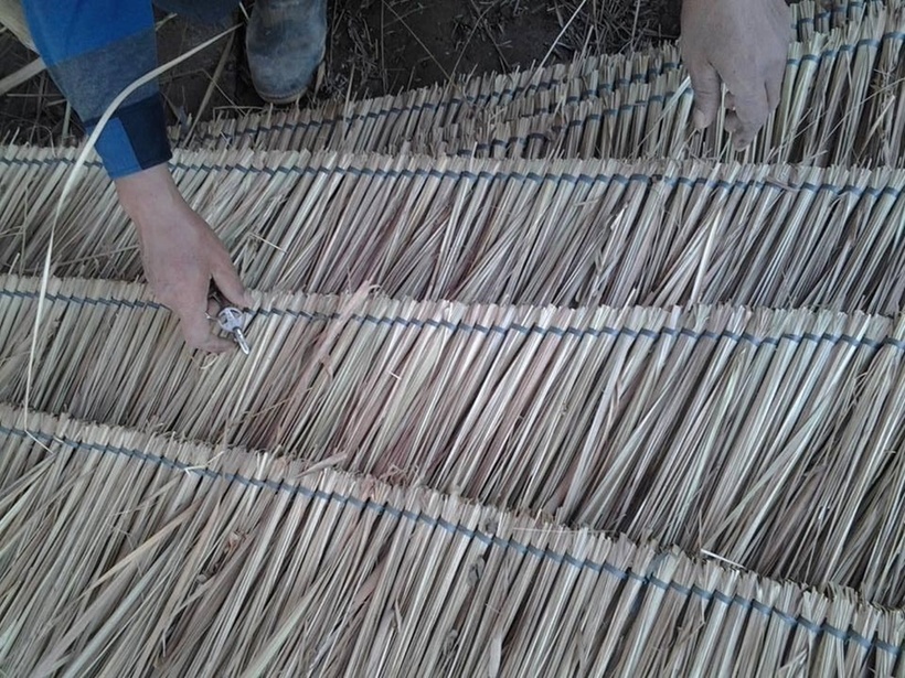 Các nắm sợi tranh (hay còn gọi là "một vắt") phải đều tăm tắp để khi lợp lên mái nhà trông đẹp và không bị thấm nước mưa.